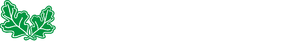 bymagaikarton.kz
